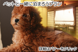 �M�B�E���z�K����@���炩�߂�u�y�b�g�ƈꏏ�ɔ��܂낤�v�����v
