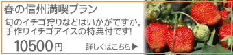 �M�B�E���z�K����@���炩�߂�u�t�̐M�B���i�v�����v